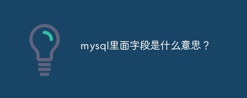 mysql里面字段是什么意思？