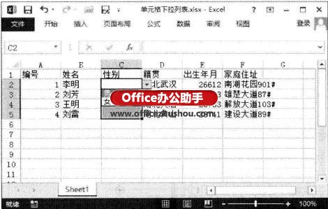 excel单元格下拉选项 为Excel 2013单元格添加下拉列表的方法