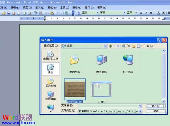 扫描文件变成Word文档 怎样将扫描文件和图片转到Word2003文档中
