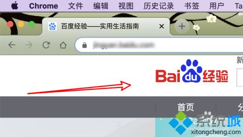 mac谷歌浏览器打不开网页是什么原因 mac谷歌浏览器打不开网页的解决方法