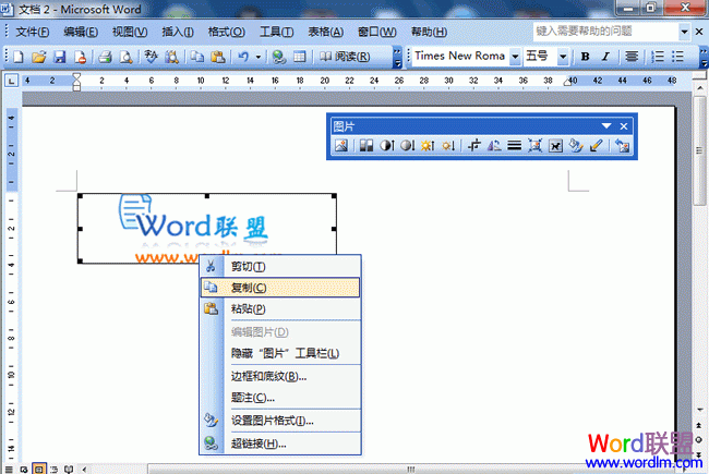 Word文档里的图片如何导出 在Word2003文档里如何图片导出