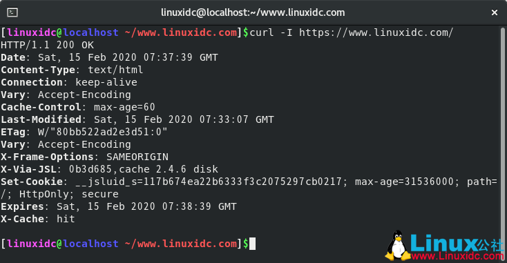 如何在CentOS 8上安装和使用curl