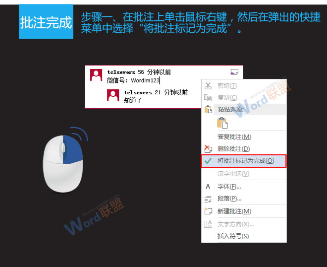 word批注 批注相关事宜：易雪龙玩Word第八招