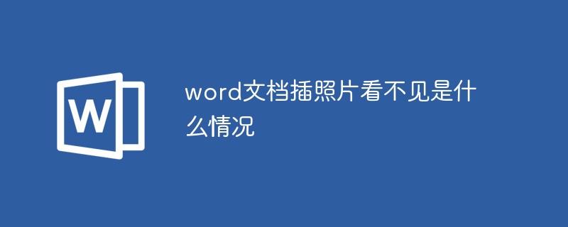 word文档插照片看不见是什么情况