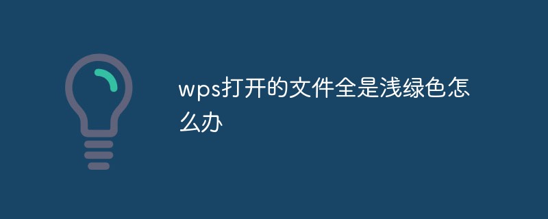 wps打开的文件全是浅绿色怎么办