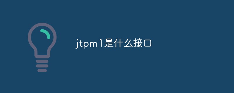 jtpm1是什么接口