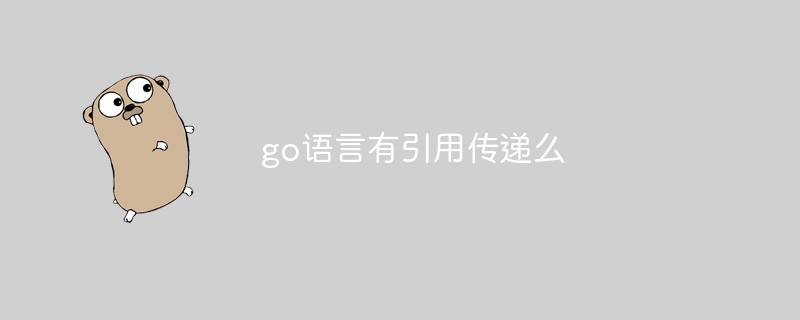 go语言有引用传递么