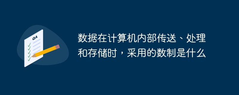 数据在计算机内部传送、处理和存储时，采用的数制是什么