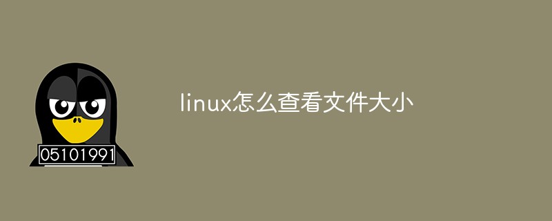 linux怎么查看文件大小