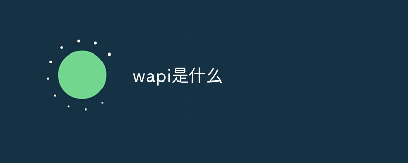 wapi是什么