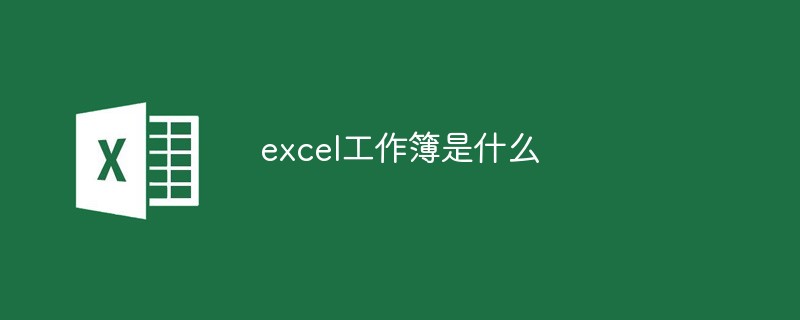 excel工作簿是什么