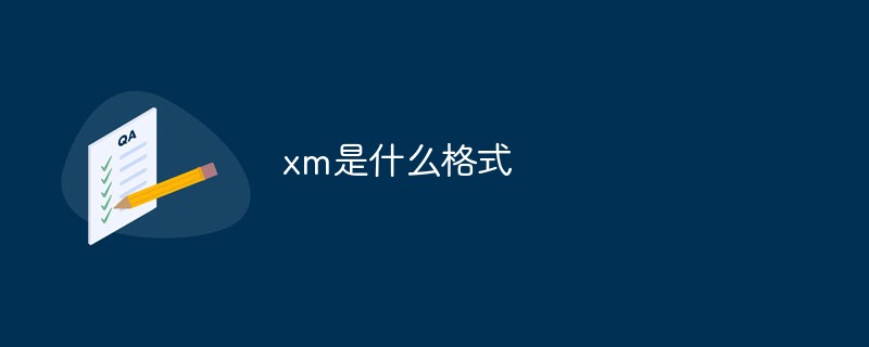 xm是什么格式