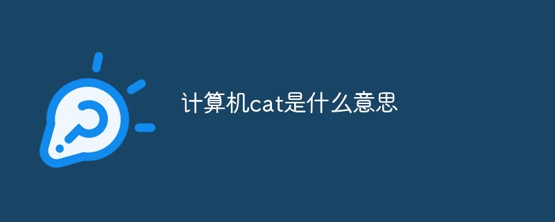 计算机cat是什么意思