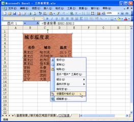 excel工作表图片图片工作表背景图片的妙用