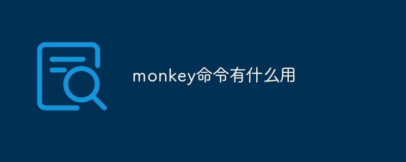 monkey命令有什么用