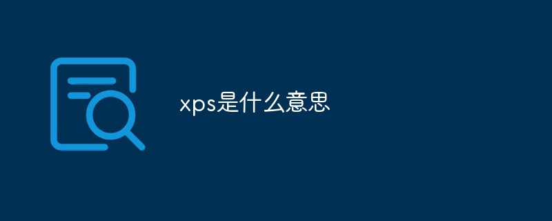 xps是什么意思