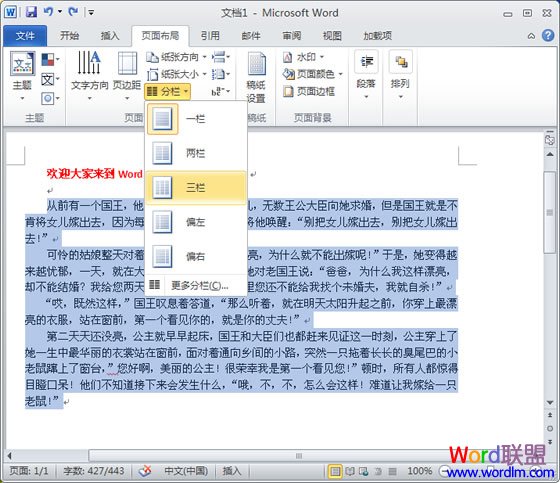 多栏式和三栏式的表 Word2010如何分两栏，三栏，多栏技巧