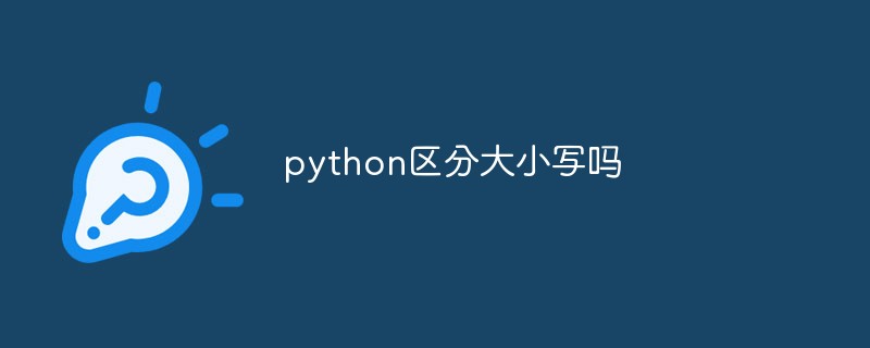 python区分大小写吗