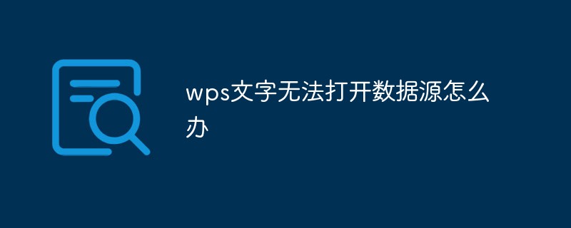 wps文字无法打开数据源怎么办