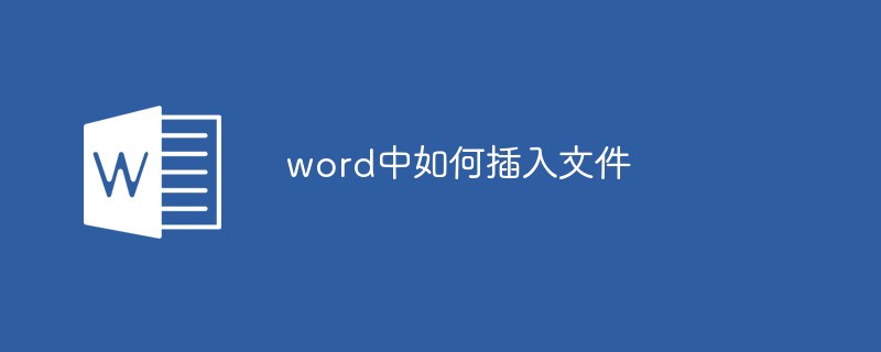 word中如何插入文件