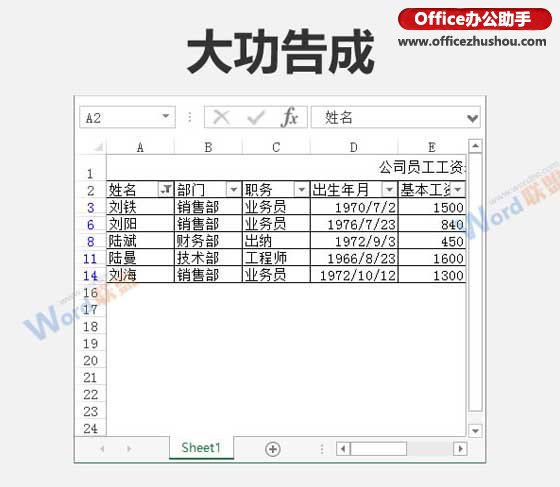 excel表格自定义筛选 Excel表格的自定义筛选功能详解