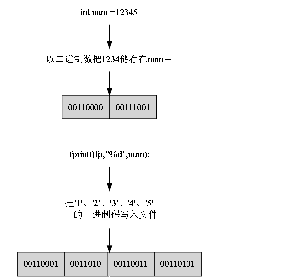 fread函数 C语言的二进制IO函数fread()和fwrite()