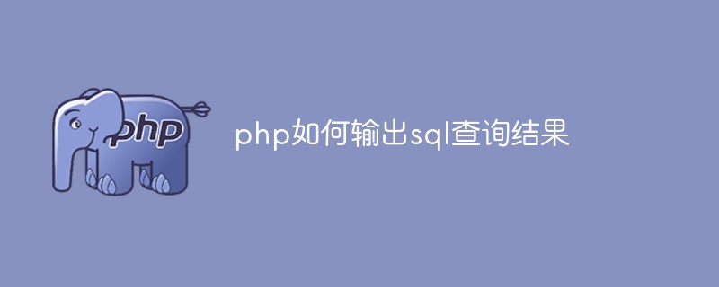 php如何输出sql查询结果