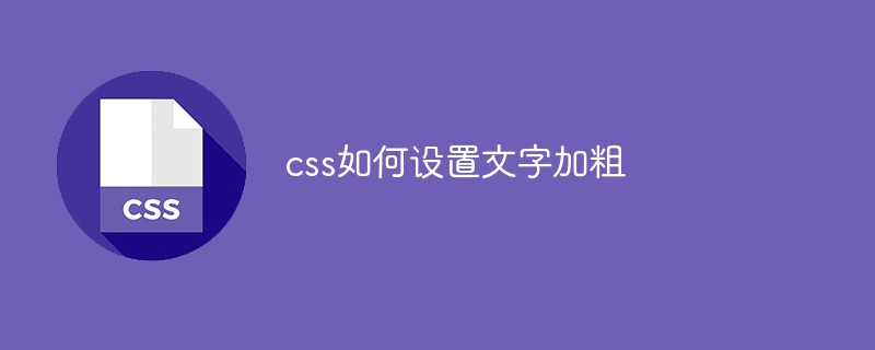 css如何设置文字加粗