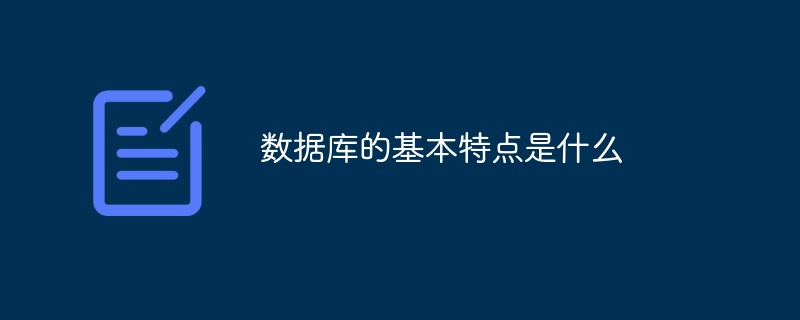 数据库的基本特点是什么