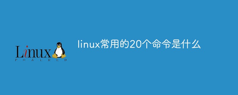 linux常用的20个命令是什么