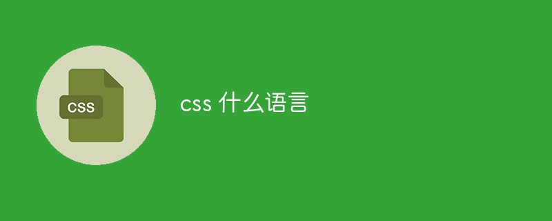 css 什么语言