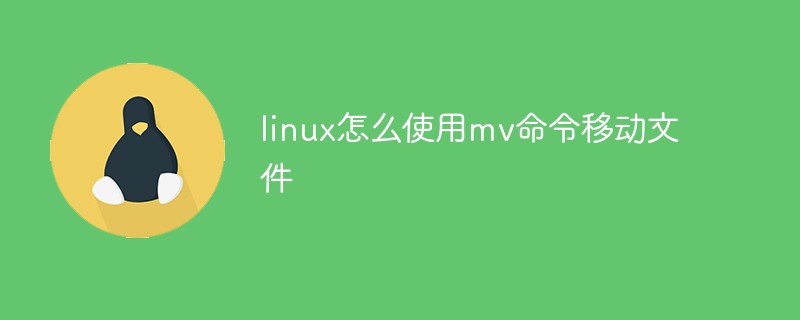 linux怎么使用mv命令移动文件