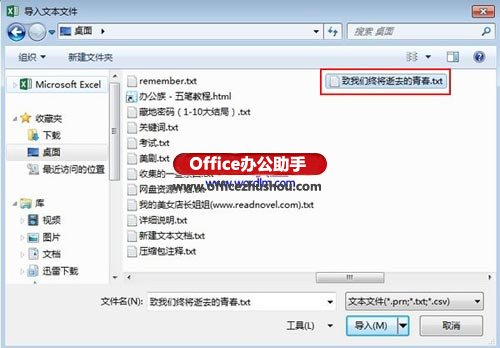 文本数据导入excel 外部文本数据导入Excel 2013的方法