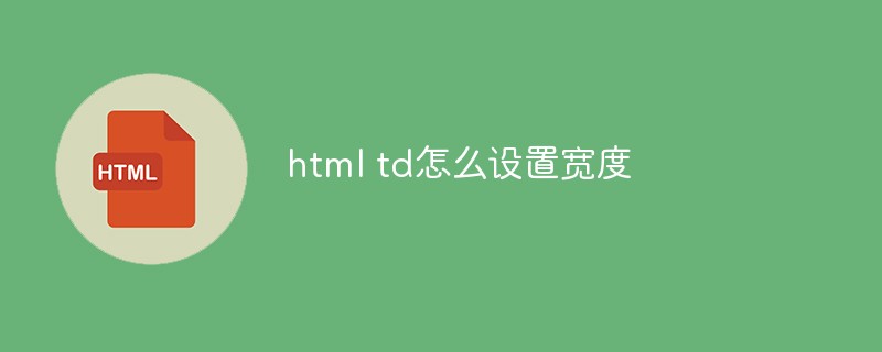 Html Td Size Auto