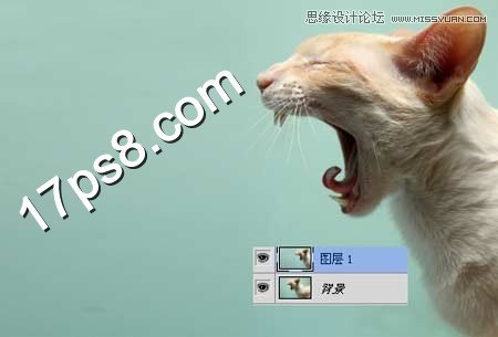 PS合成生化异形喷火猫教程