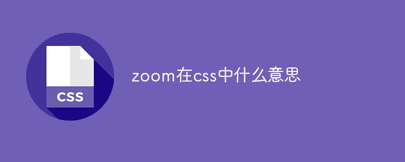 zoom在css中什么意思