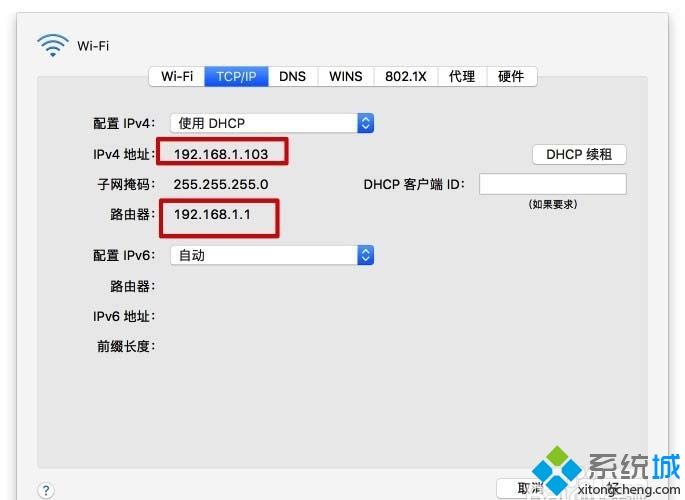 苹果电脑哪里看本机ip地址和dns