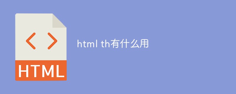 html th有什么用