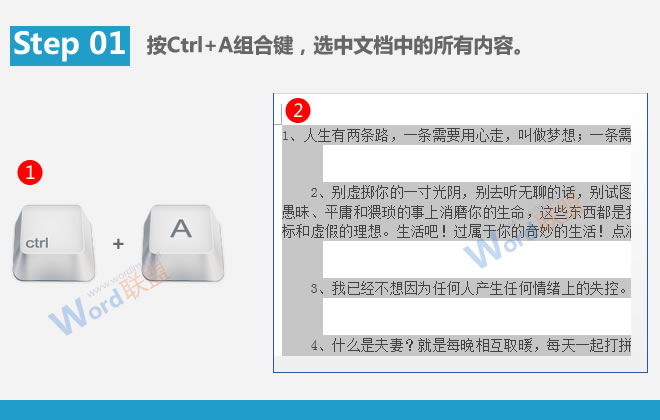 删除字体格式 快速清除所有字体格式：Word提高工作效率(08)