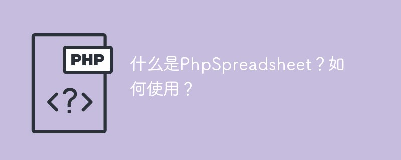 什么是PhpSpreadsheet？如何使用？