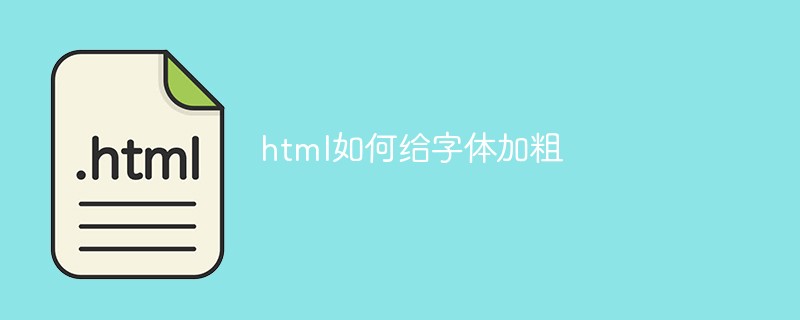 html如何给字体加粗