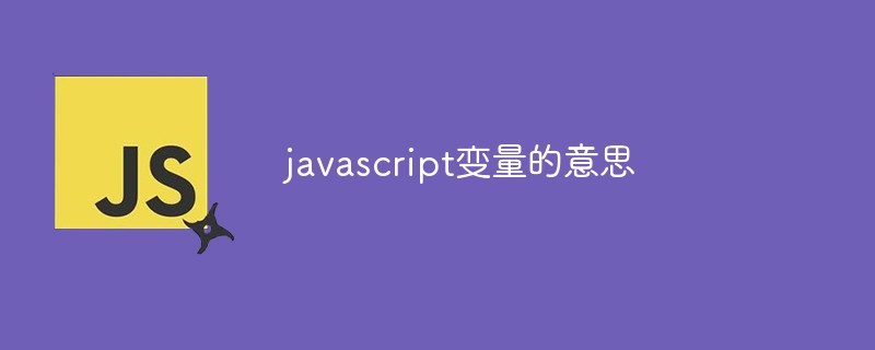 javascript变量的意思