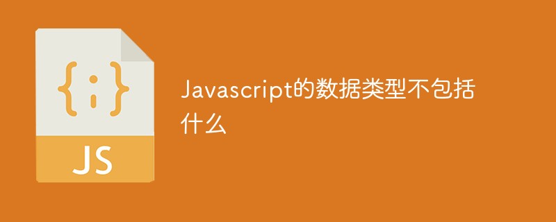 Javascript的数据类型不包括什么