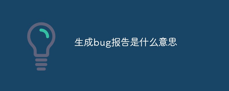 生成bug报告是什么意思