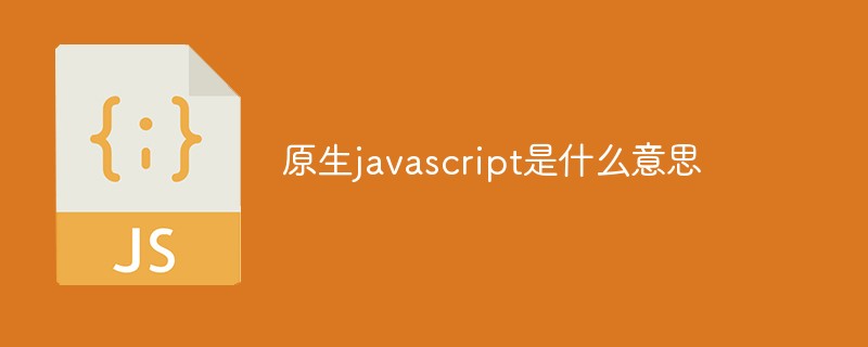 原生javascript是什么意思