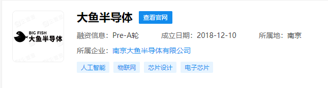 分拆于小米松果的大鱼半导体，完成近亿元 A 轮融资