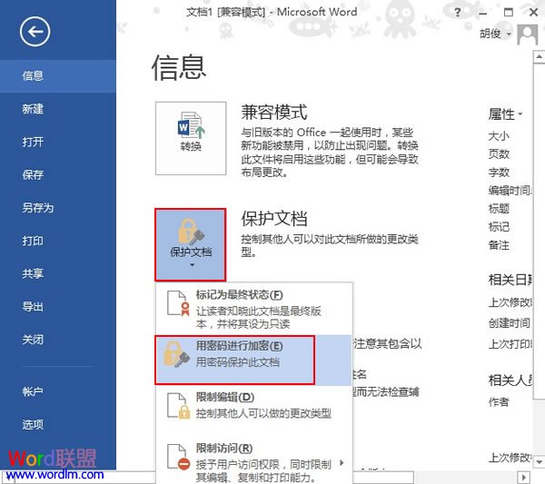 Word文档加密 Word2013中文档加密的两种方法介绍