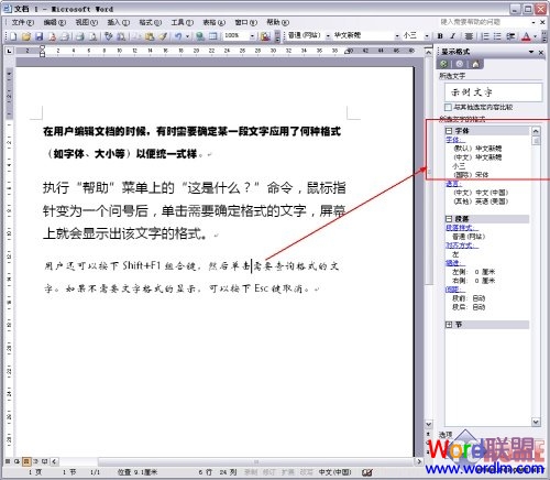 word字体格式 教你一眼就能辨认出Word2003文档某处字体的格式