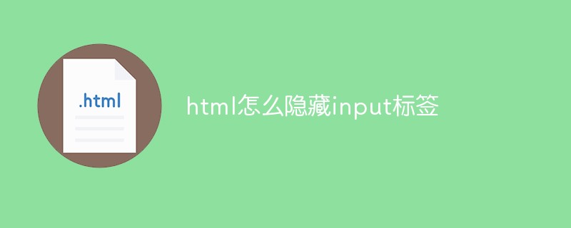 html怎么隐藏input标签