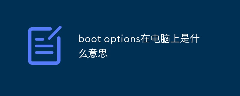 boot options在电脑上是什么意思